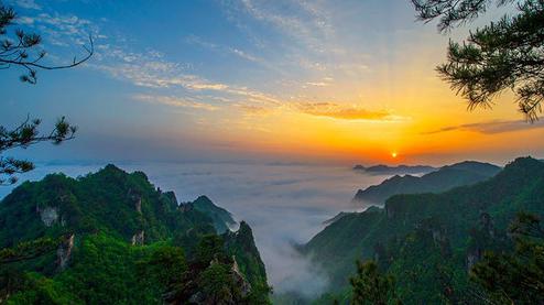 張家界森林公園（金鞭溪、袁家界、楊家界、天子山、十里畫廊）住山上2天1游（可看日出）